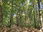IMG_20240908_104759