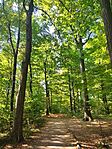 IMG_20240908_104807