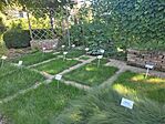 IMG_20240921_141948