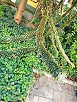 IMG_20240921_143348