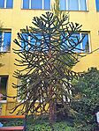 IMG_20240921_143551