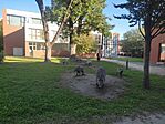 IMG_20240922_083427