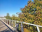 IMG_20240922_085600