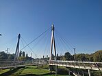IMG_20240922_090523