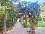 IMG_20240922_083315