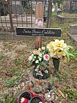 IMG_20240927_134114