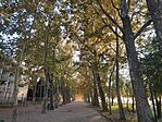 IMG_20240930_180123