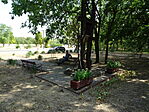 DSC09615