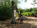 DSC09628