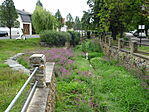 DSC09534