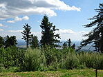 DSC09544