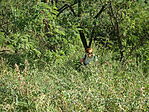 DSC09679