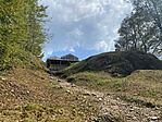 IMG_1101