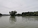 IMG_20240822_133142