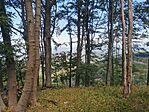 IMG_20240810_121619