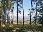 IMG_20240810_122035