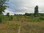 IMG_20240803_080146