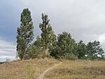 IMG_20240803_080639