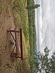 IMG_20240803_080723