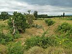 IMG_20240803_081852