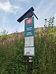 IMG_20240720_081227