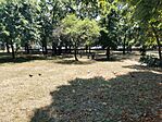 IMG_20240712_130633