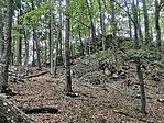 IMG_20240927_123311