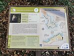 IMG_20240921_112956