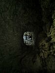 IMG_20240921_113450
