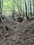 IMG_20240915_110016