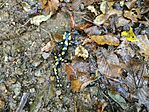 IMG_20240915_110906