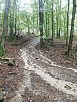 IMG_20240915_121230