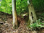 IMG_20210703_110229