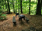 IMG_20210703_110325