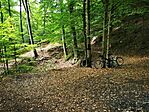 IMG_20210703_110328