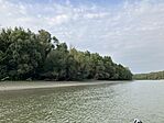 IMG_7206