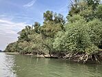 IMG_7219