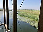 IMG_7159