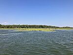 IMG_7171
