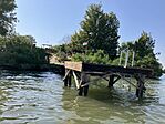 IMG_7174
