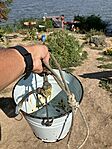 IMG_7185