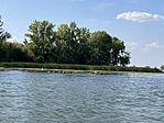 IMG_7186