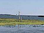 IMG_7190
