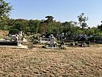 IMG_7193
