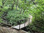 IMG_7230