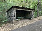 IMG_7234