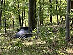 IMG_7268