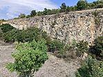 IMG_7273