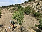 IMG_7276