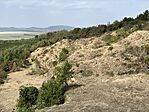 IMG_7277